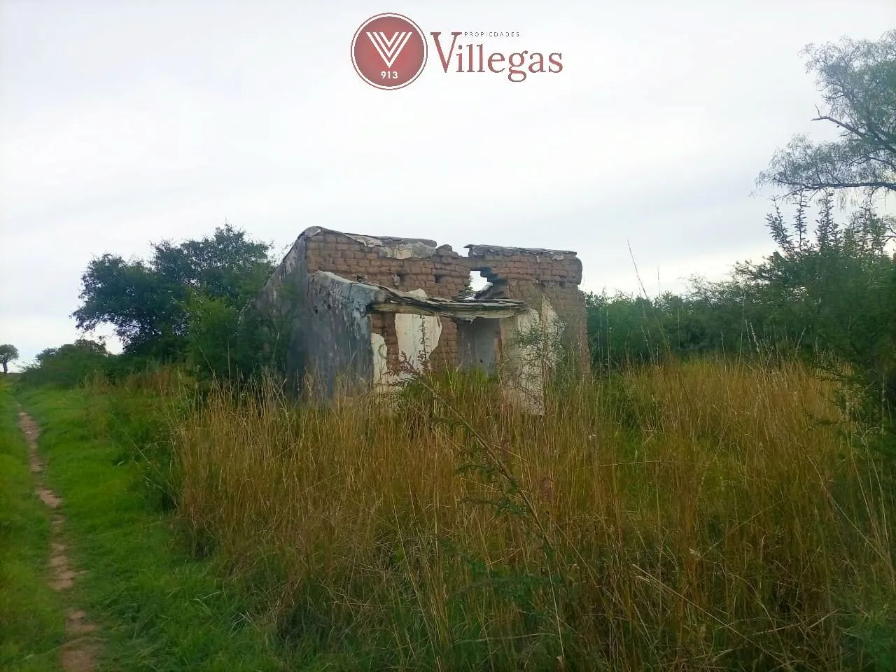 Foto 1 de CAMPO en VENTA en Rincón de Luna