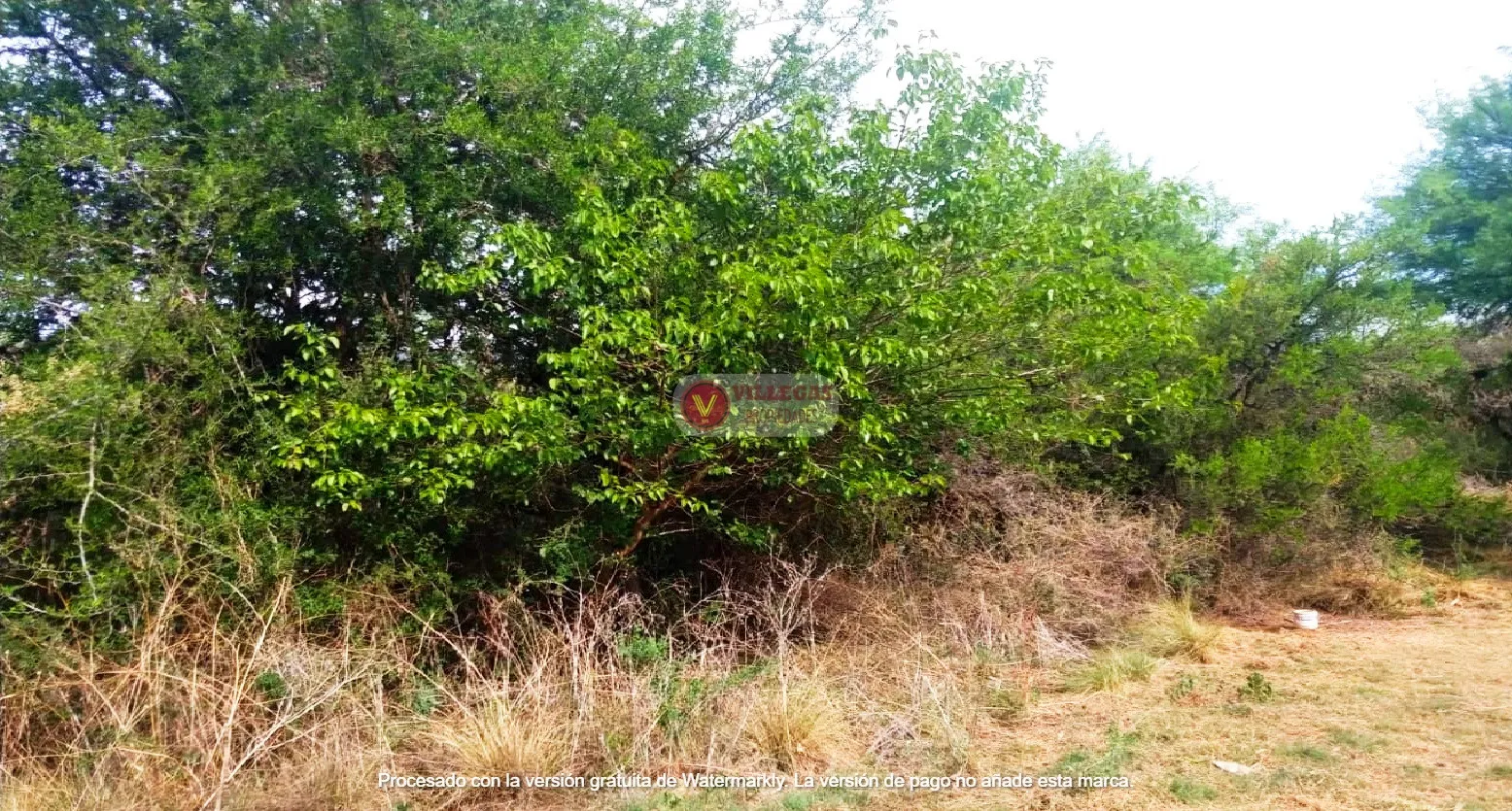 Foto 1 de CAMPO en VENTA en Las Tunas